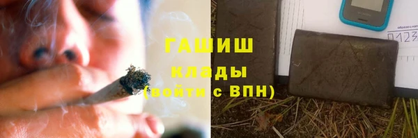 шишки Покачи