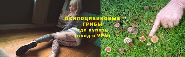 шишки Покачи