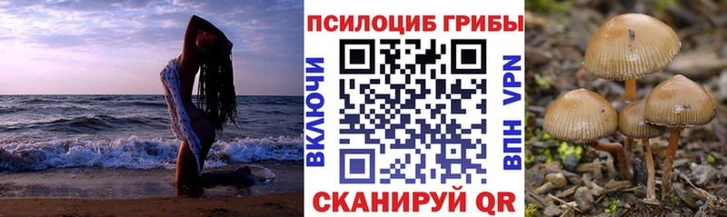 закладка  Можга  Галлюциногенные грибы прущие грибы 